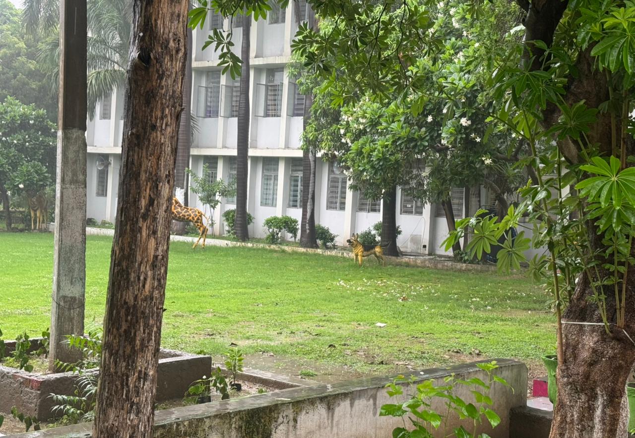 School Greenery and Shaded Grounds